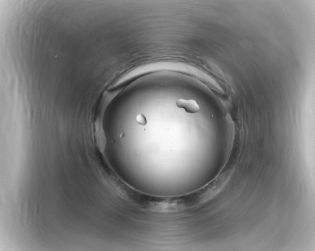 X0000116160366200911301606