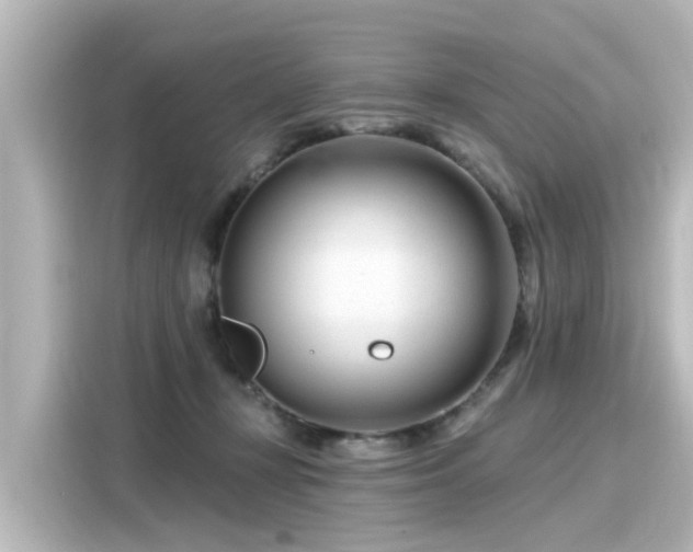 X0000116160367200911301606