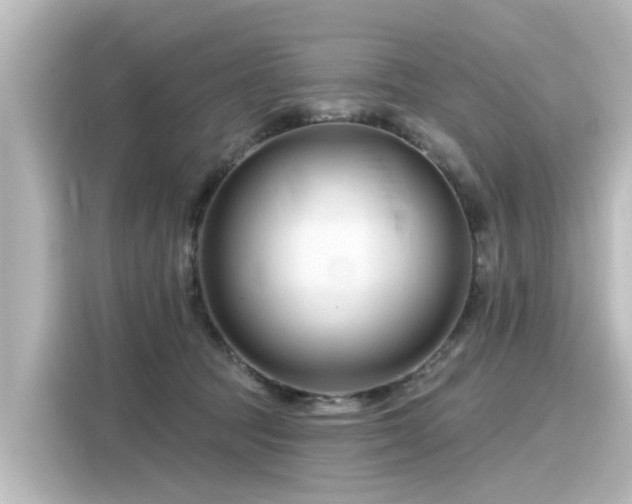 X0000116160369200911301607