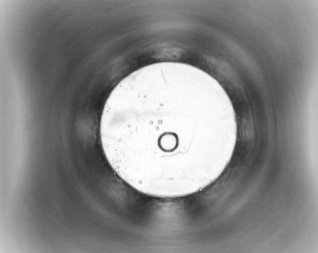 X0000116160370200911301607