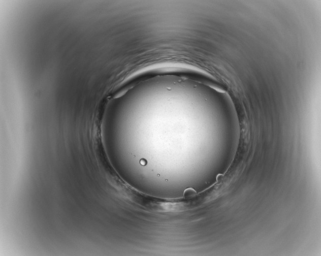 X0000116160371200911301607