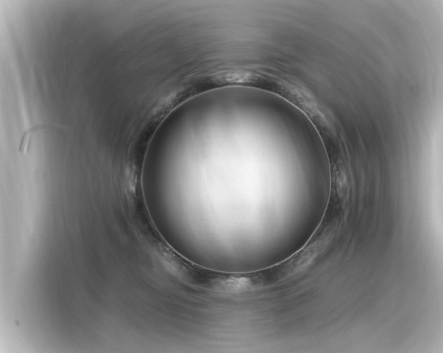 X0000116160374200911301607