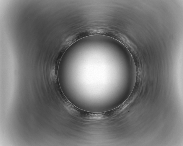 X0000116160377200911301607