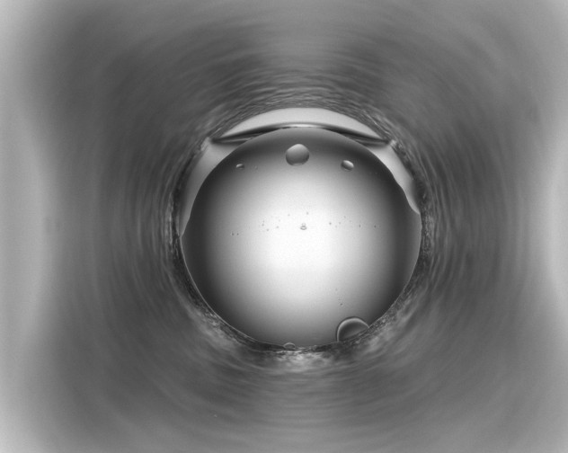 X0000116160379200911301607