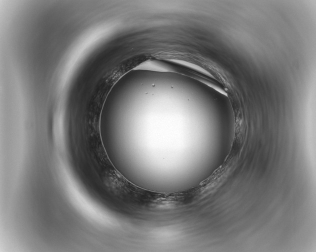 X0000116160381200911301607