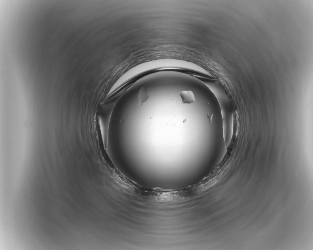 X0000116160382200911301607