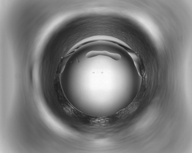 X0000116160383200911301607