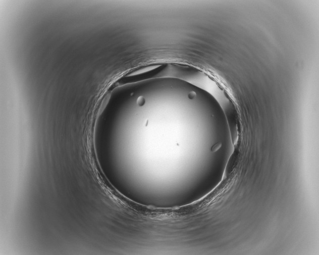 X0000116160385200911301606