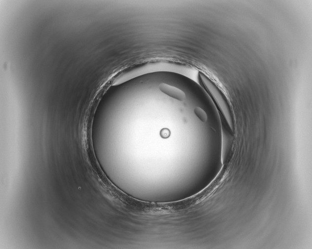 X0000116160386200911301606