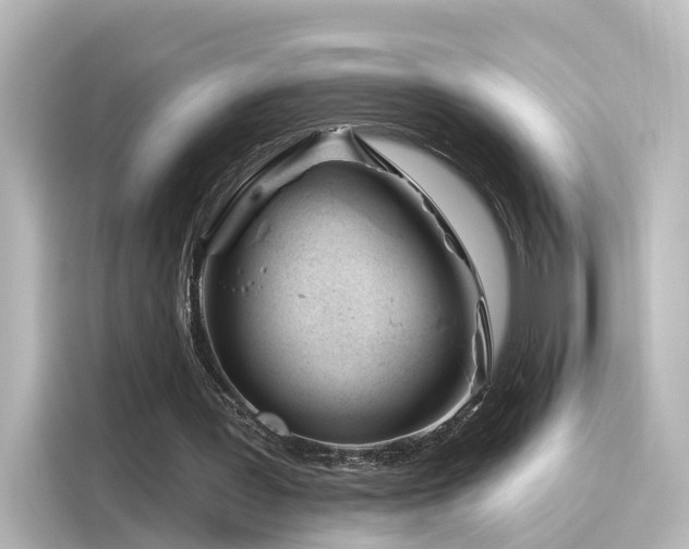 X0000116160387200911301606