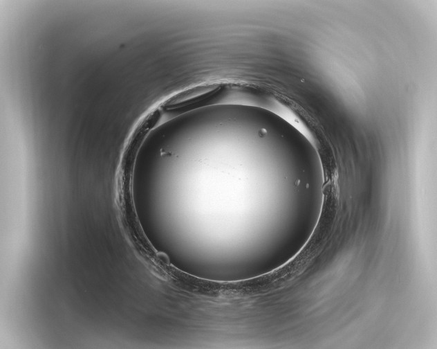 X0000116160388200911301606