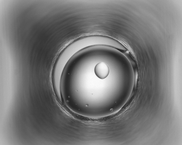 X0000116160389200911301606