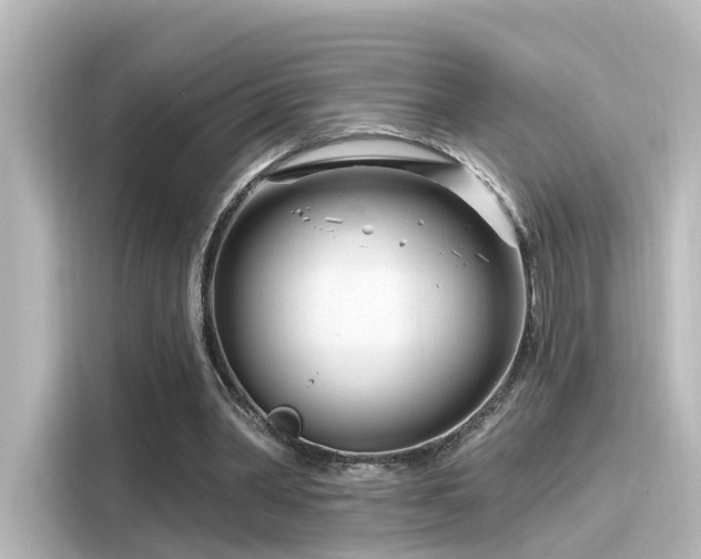 X0000116160390200911301606