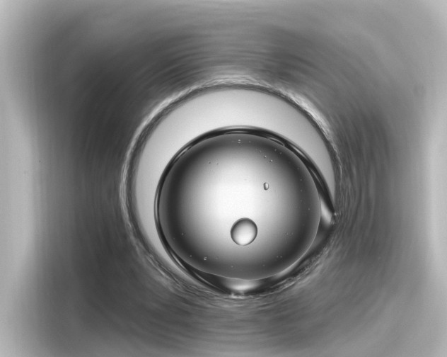 X0000116160391200911301606