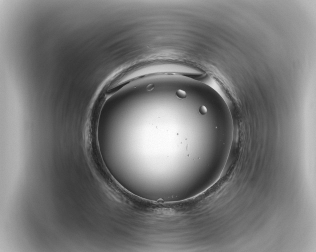 X0000116160392200911301606