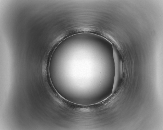 X0000116160394200911301606