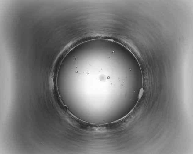 X0000116160395200911301606