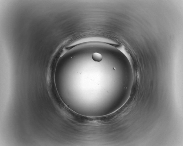 X0000116160396200911301606