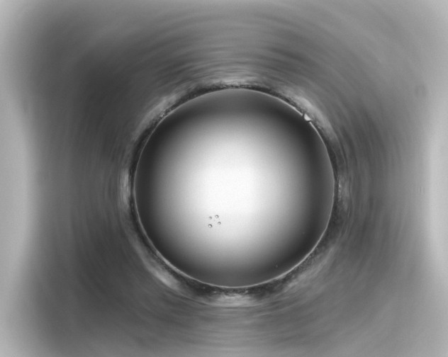 X0000116160397200911301606