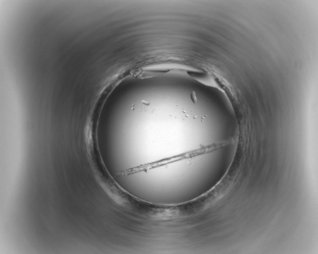 X0000116160398200911301606