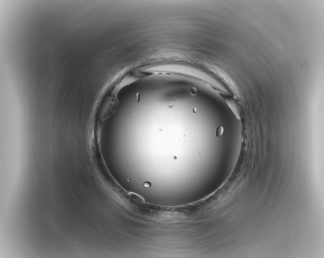 X0000116160399200911301606