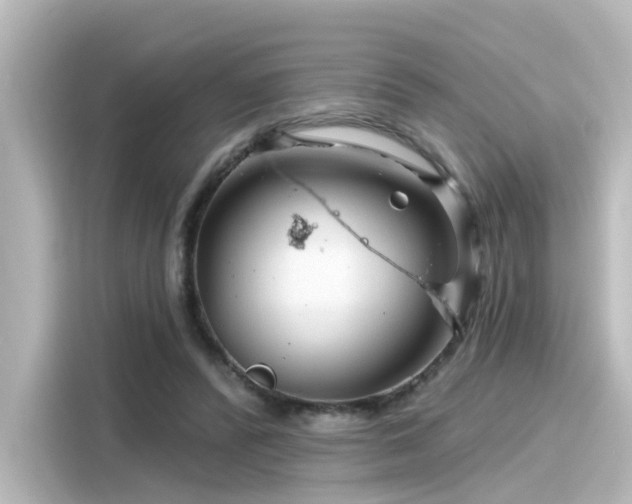 X0000116160400200911301606