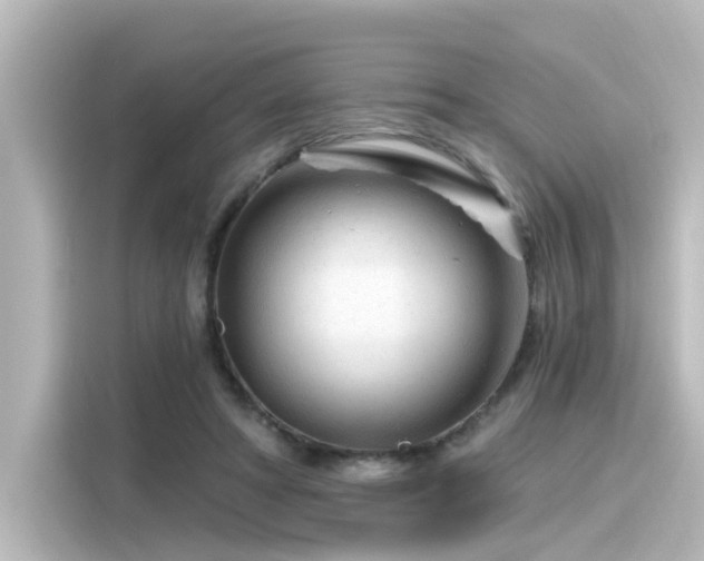 X0000116160402200911301606