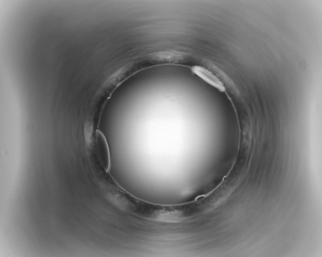 X0000116160403200911301606