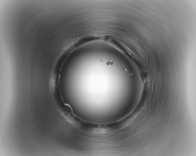 X0000116160404200911301606