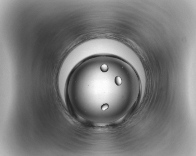 X0000116160405200911301606