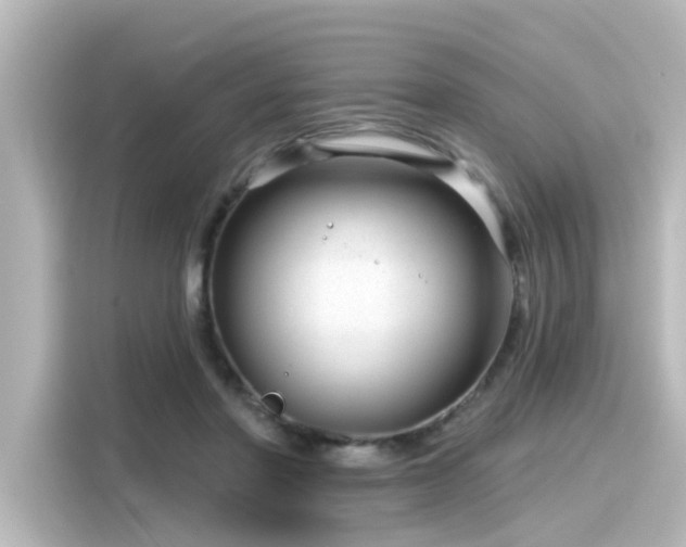 X0000116160406200911301606