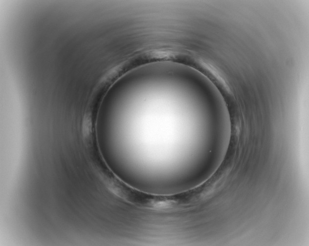 X0000116160407200911301606