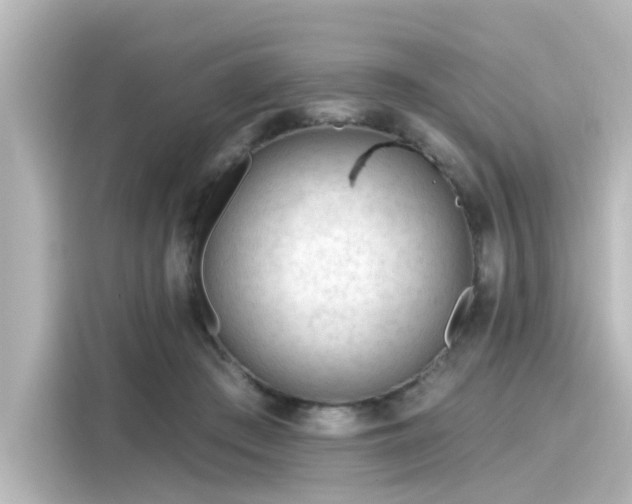 X0000116160409200911301606