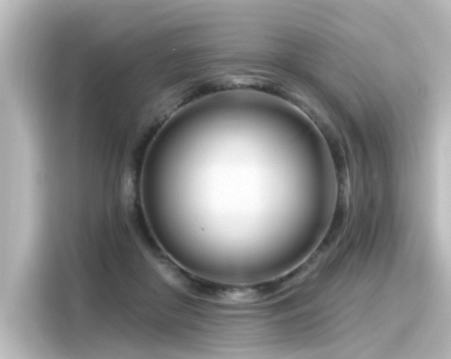 X0000116160410200911301606