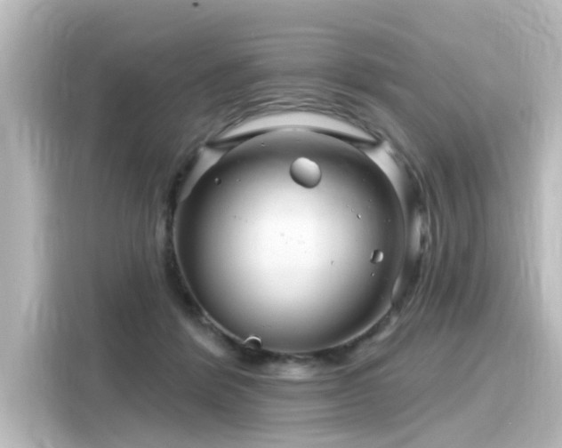 X0000116160412200911301606