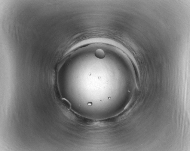 X0000116160413200911301606