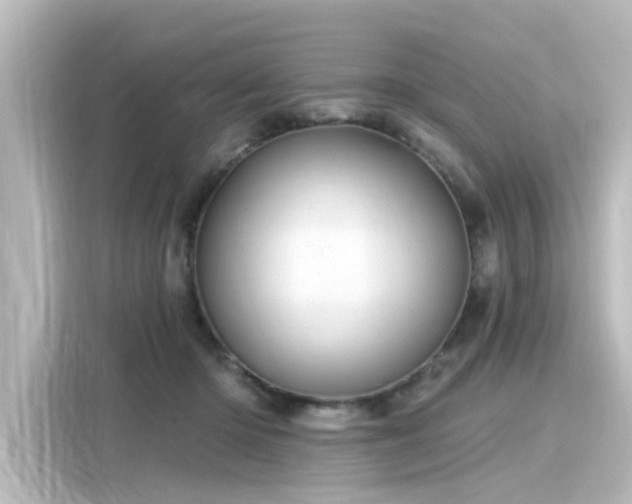 X0000116160414200911301606