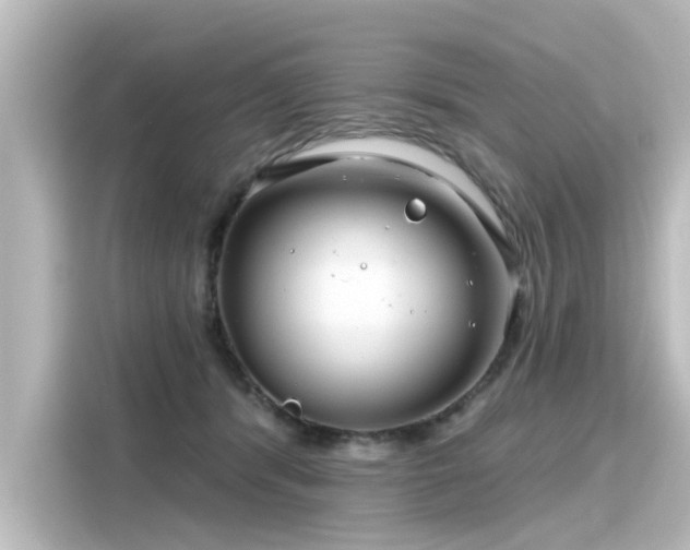 X0000116160416200911301606