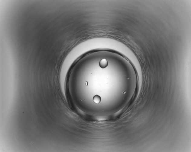 X0000116160419200911301606