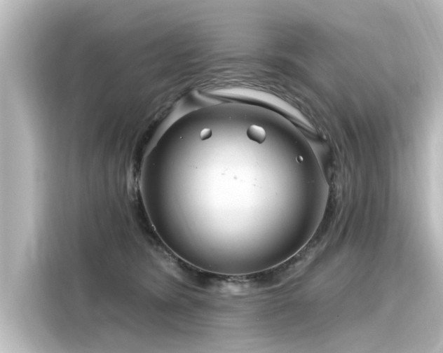 X0000116160420200911301606