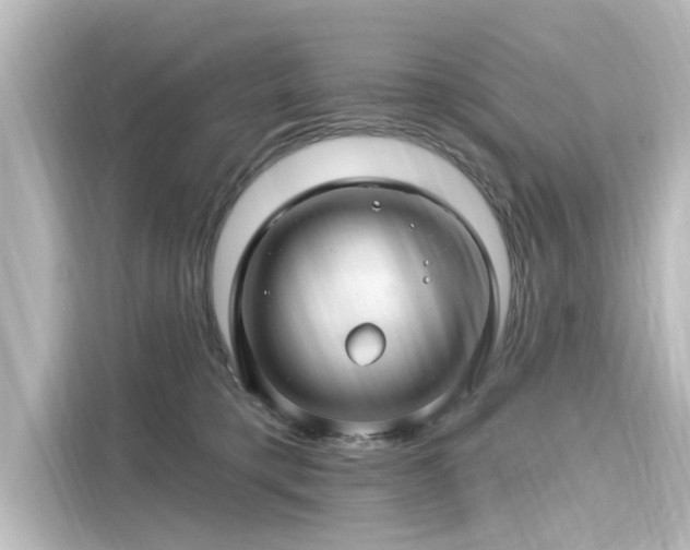 X0000116160421200911301606