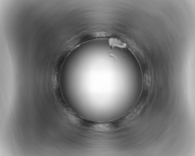 X0000116160422200911301606