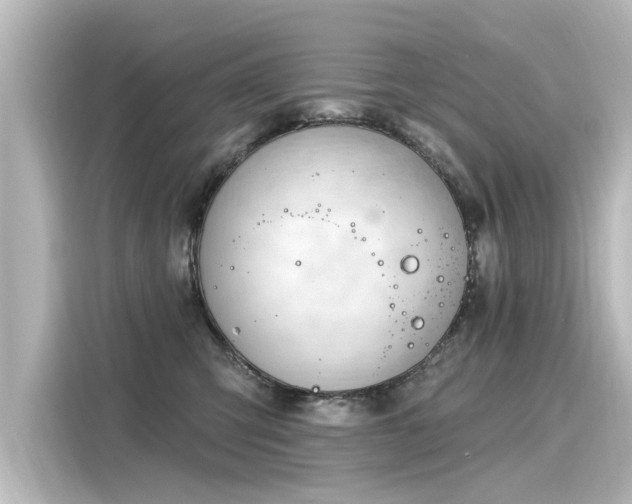 X0000116160423200911301605