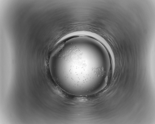 X0000116160424200911301605