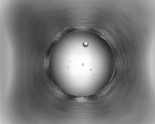 X0000116160425200911301605