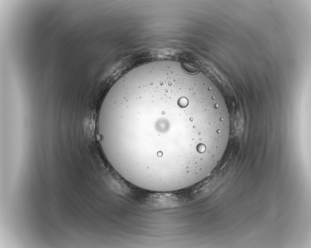 X0000116160427200911301605