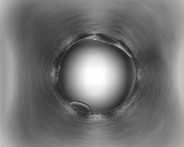 X0000116160428200911301605