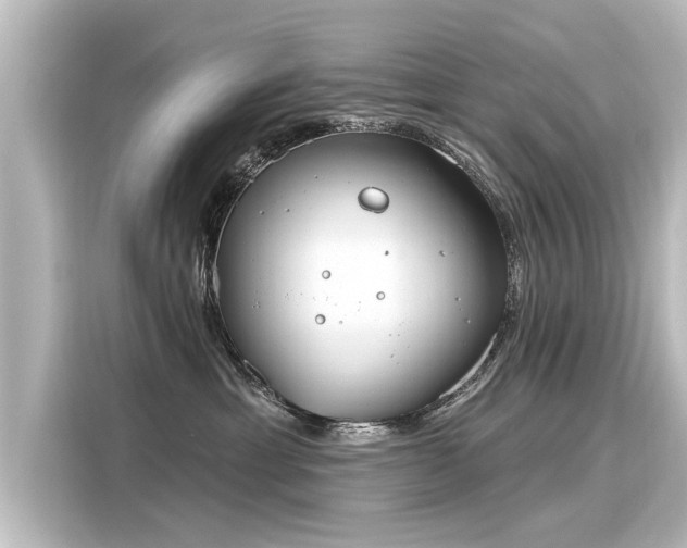 X0000116160429200911301605