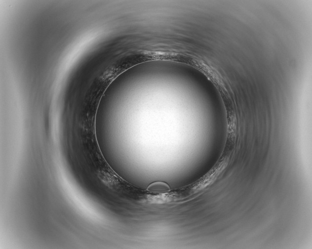 X0000116160430200911301605