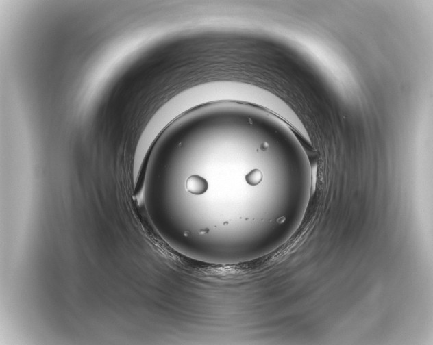 X0000116160431200911301605